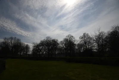 DSC_6864 (Large).JPG